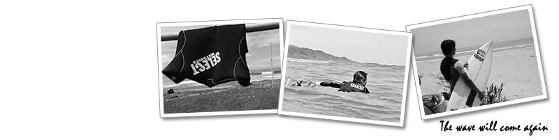 the wave will come again